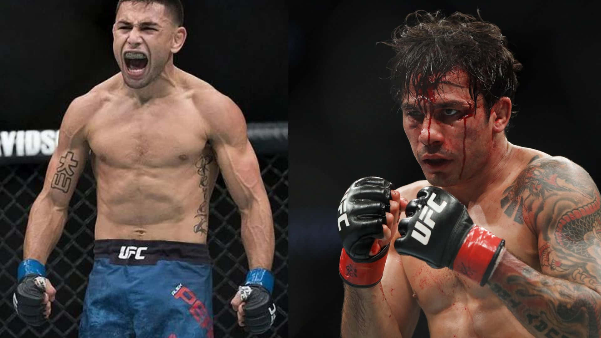 兩名身穿UFC裝備的男性MMA拳手，一名慶祝，一名血跡斑斑且專注。