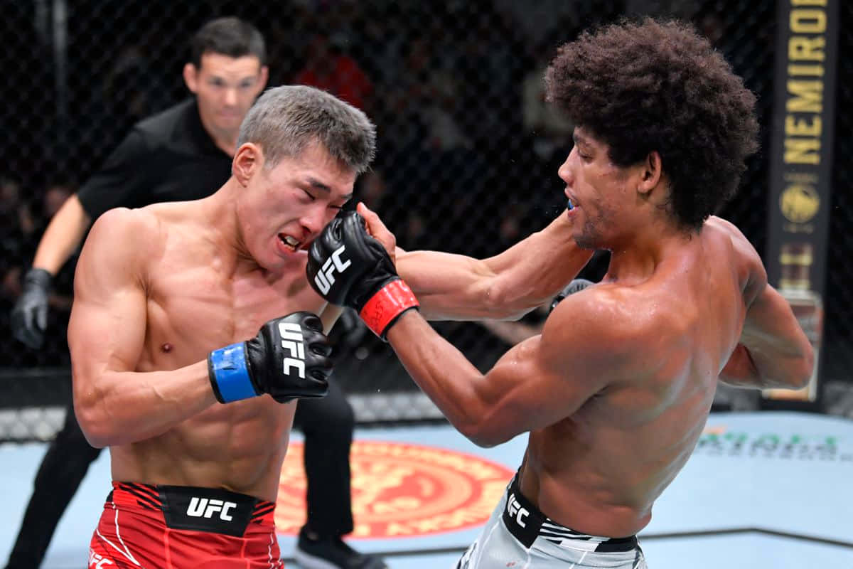 兩名男性MMA拳手在八角籠內的UFC比賽中行動。