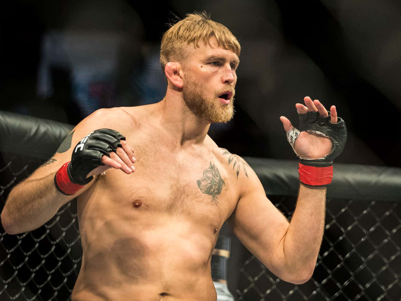 一個赤裸上身、有鬍子和紋身的MMA戰士在八角籠內。