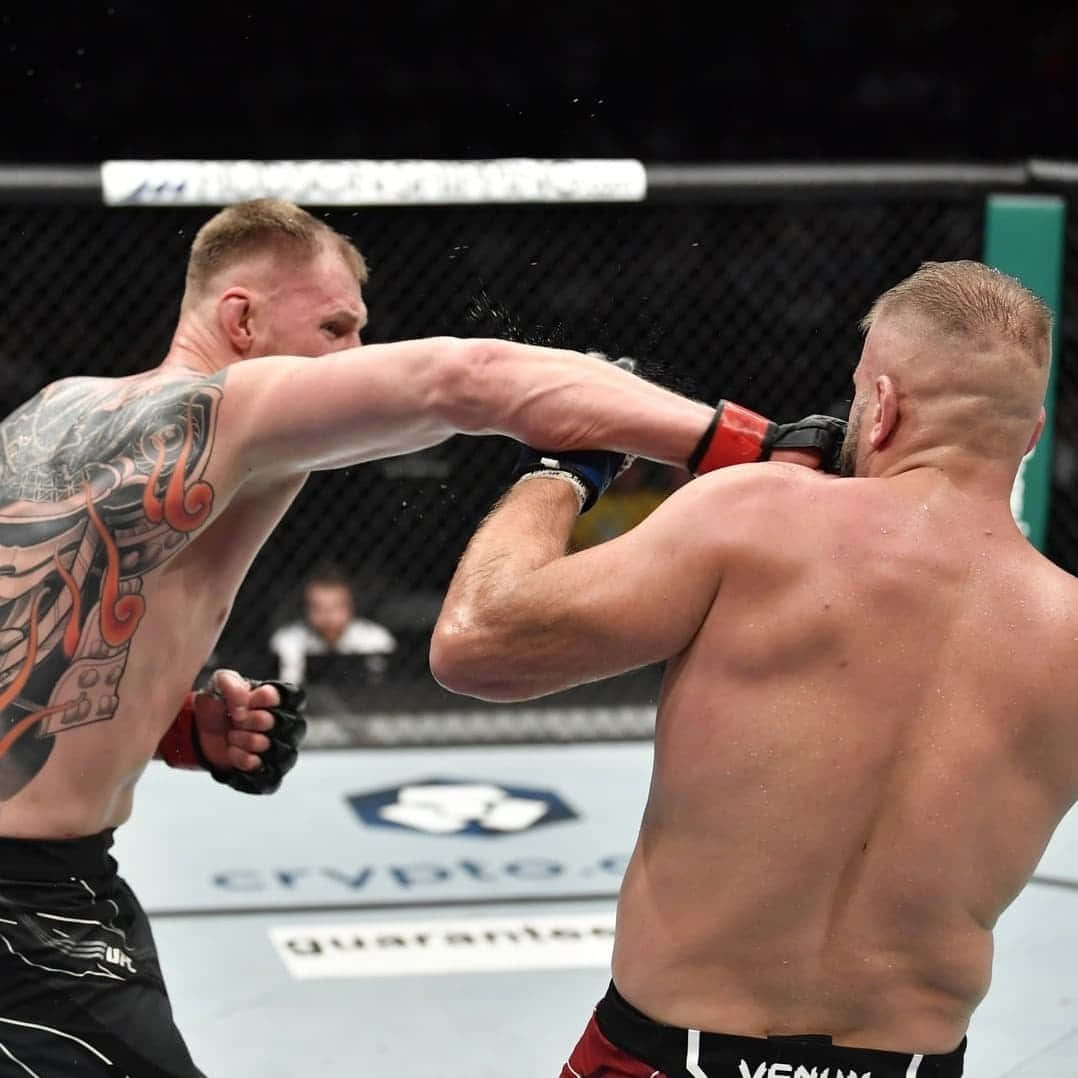 兩名MMA拳手在職業比賽中於八角籠內互相出拳。