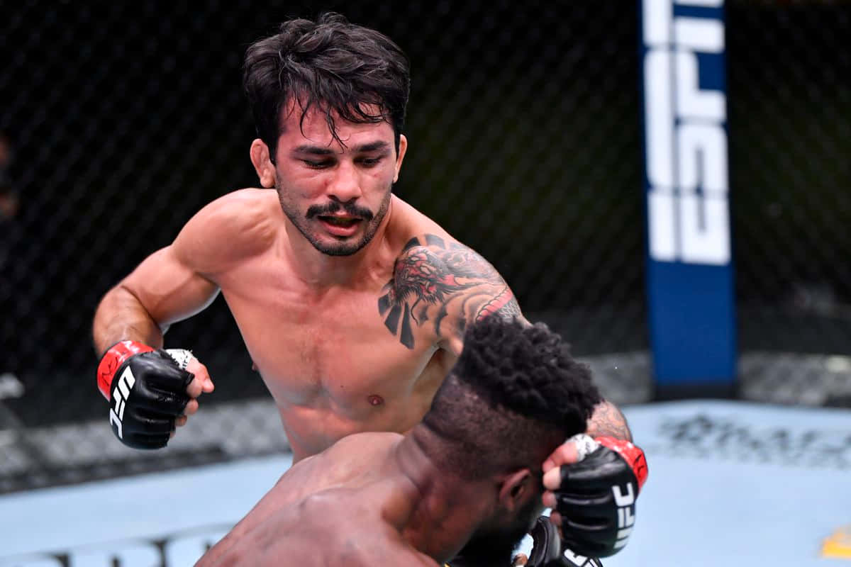 兩名MMA拳手在帶有UFC標誌的八角籠內搏鬥。