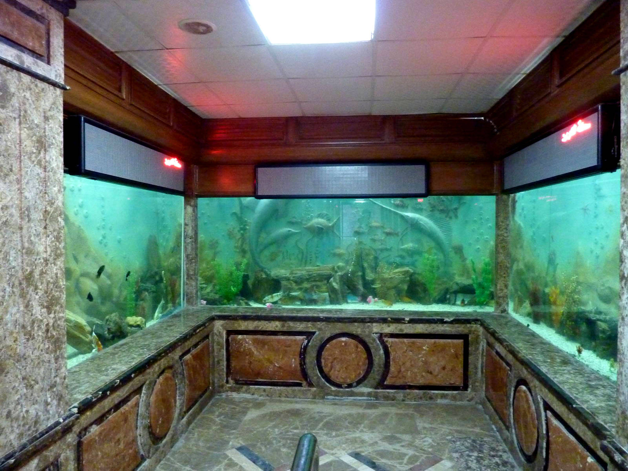 亞歷山大水族館 壁紙 — 豪華大理石牆房間，設有三個大型水族箱，在紅色環境燈光下展示魚類和珊瑚。