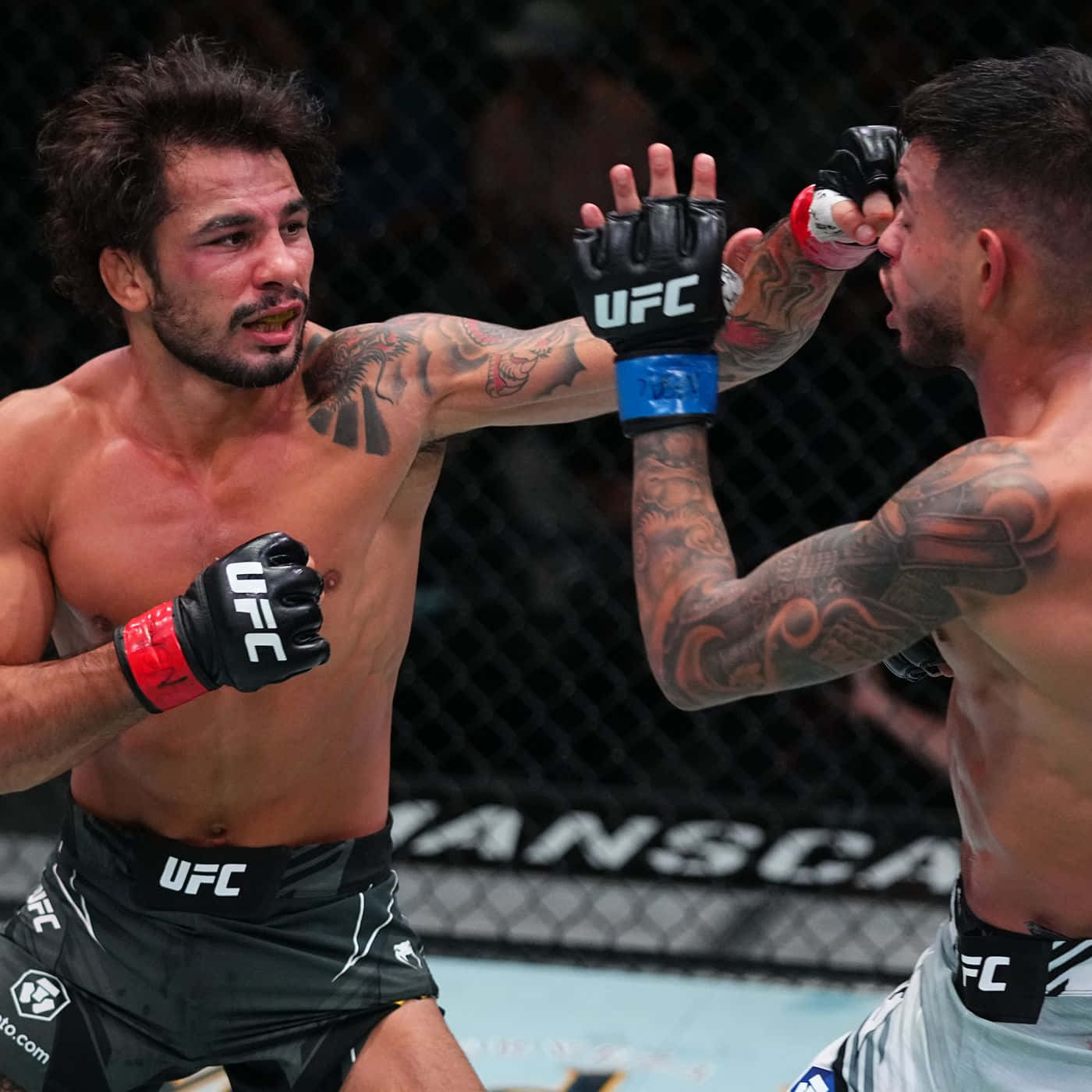 兩名男性MMA拳手在八角籠內進行UFC比賽時互相出拳。