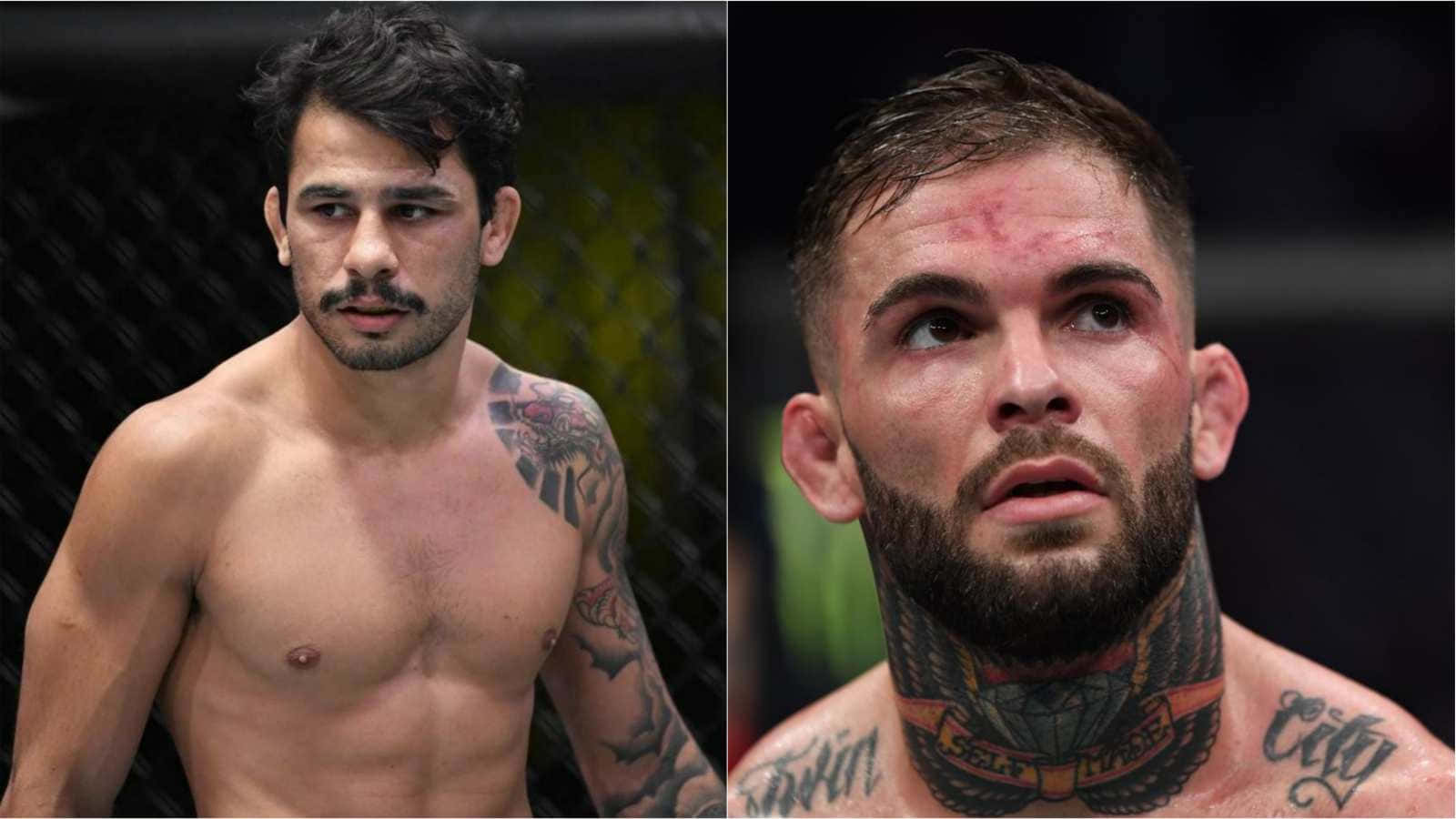 兩名紋身男性MMA拳手在八角籠中，一人臉上帶血。
