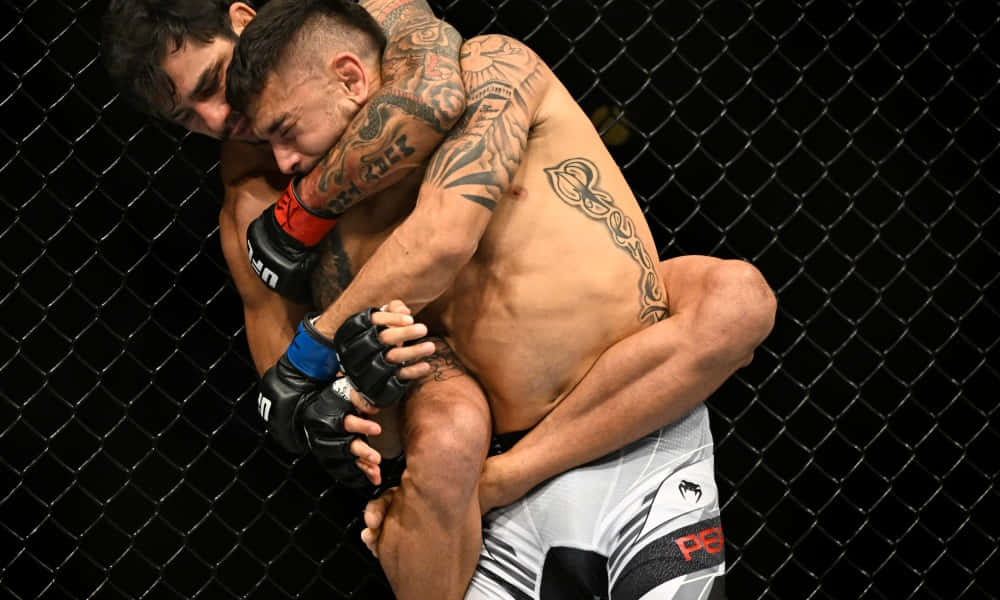 兩名男拳手在MMA籠內鎖定纏鬥姿勢。