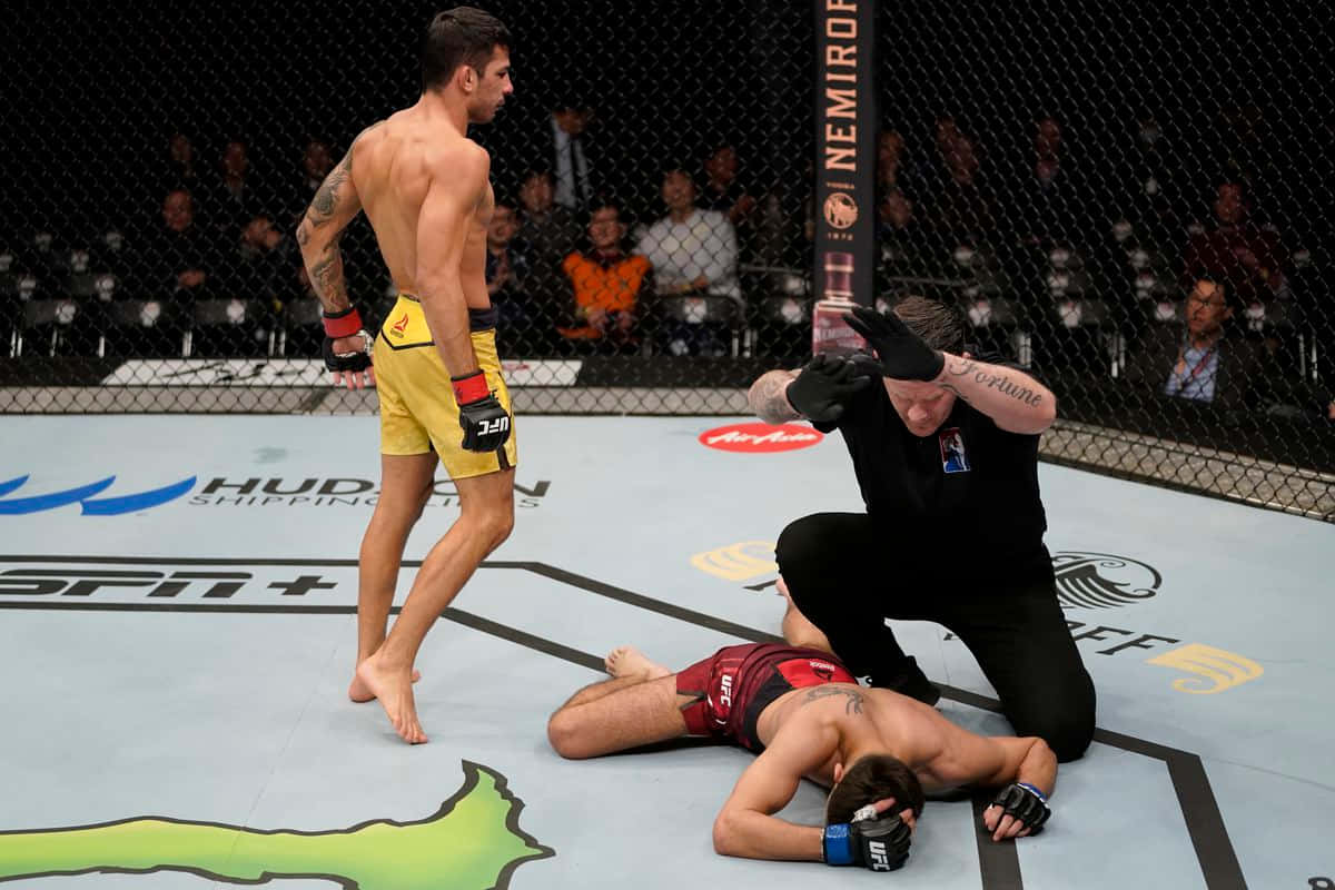 UFC拳手勝利地站在倒下的對手之上，裁判正在檢查他。