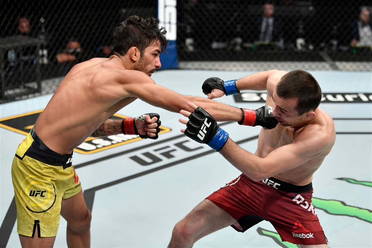 兩名男性拳手在UFC籠中互相出拳。