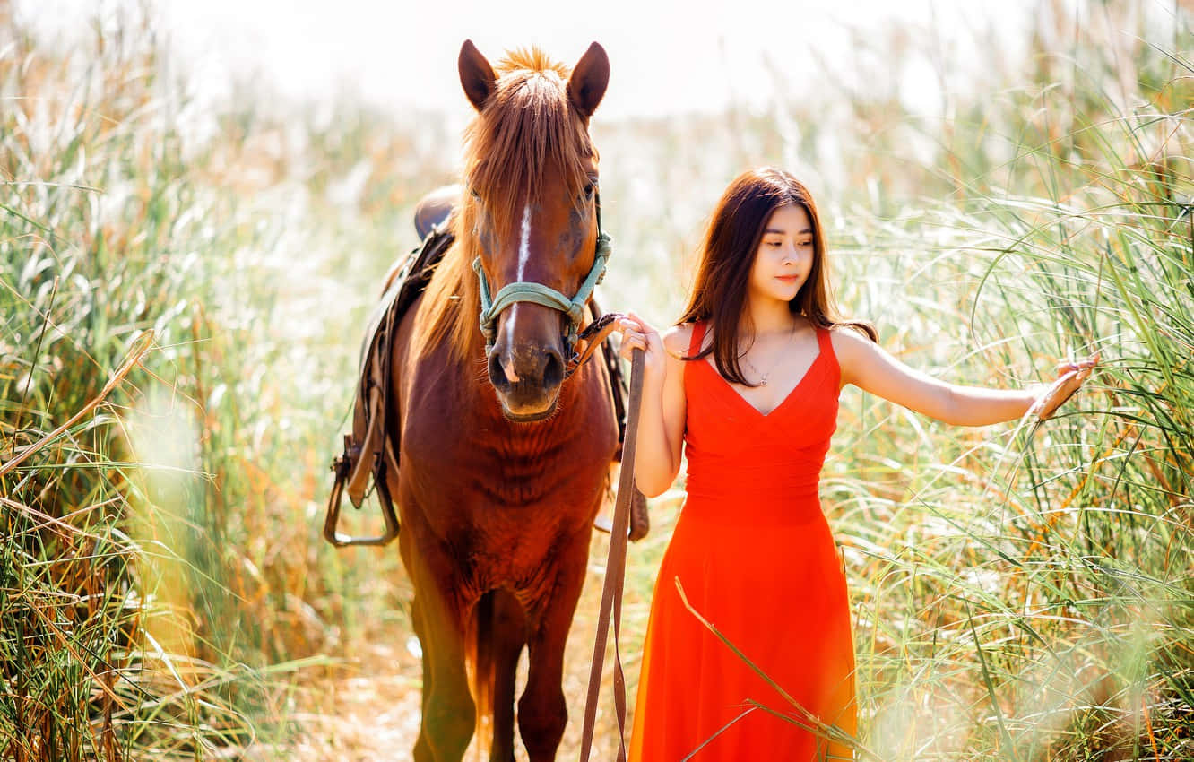 亞洲女性與馬同行 壁紙 — 一位身穿鮮紅色連衣裙的女子，與一匹棕色的馬並肩走過高高的陽光普照的草地。