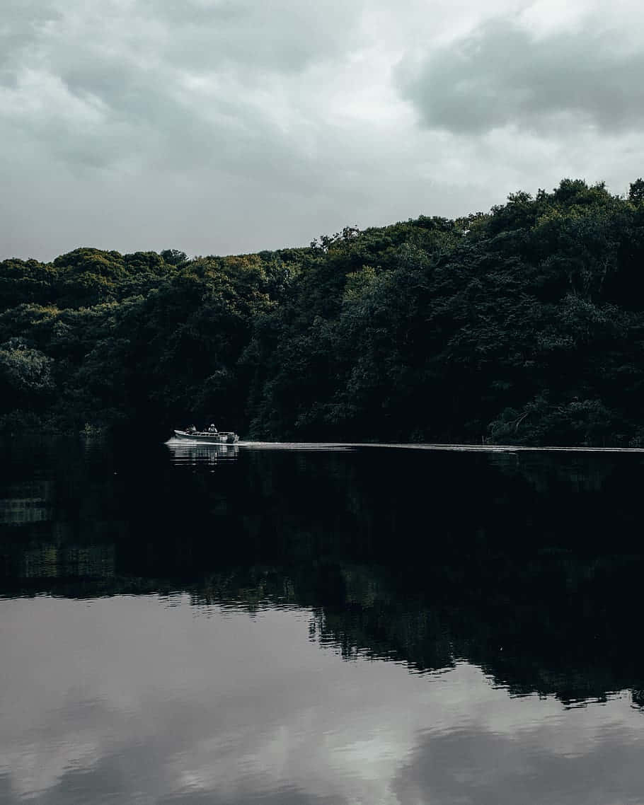 亞馬遜背景 壁紙