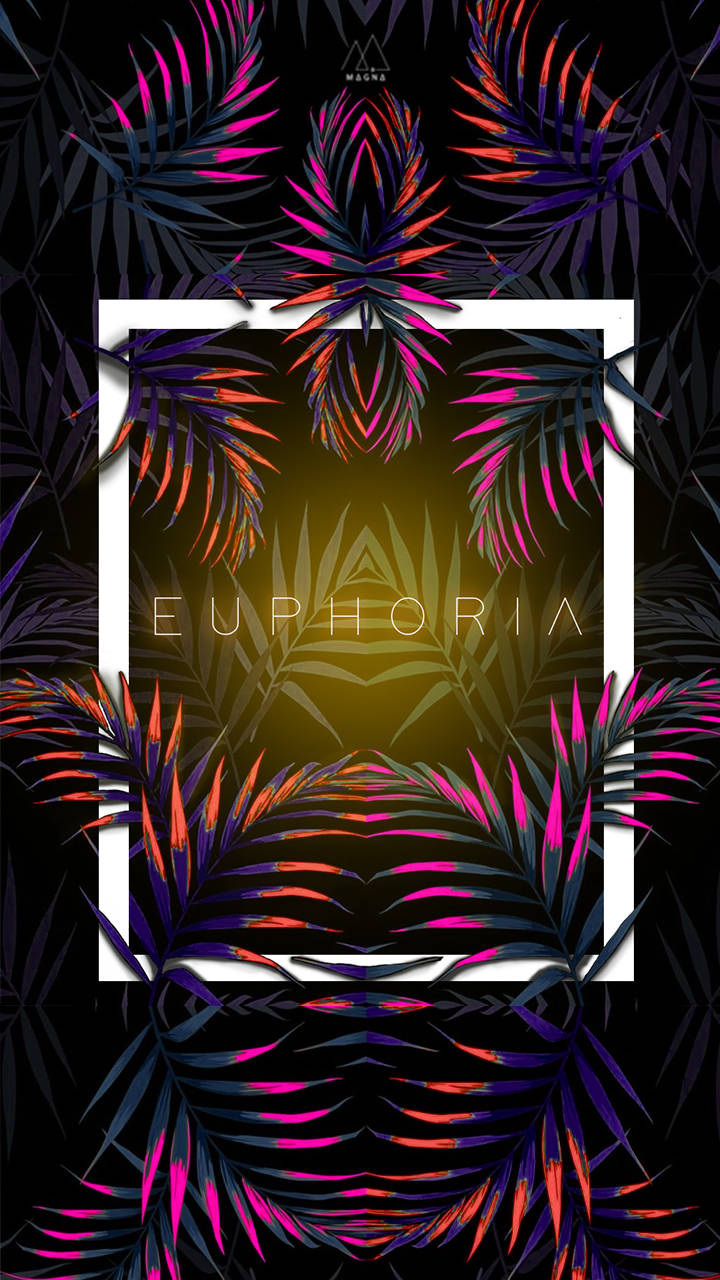 霓虹棕櫚葉圍繞一個發光的金色正方形，上面有「euphoria」字樣。