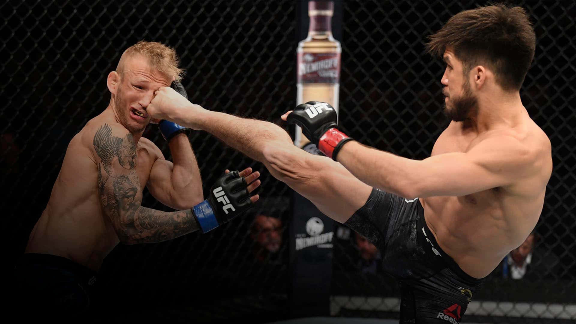 亨利·塞胡多對戰TJ·迪拉肖UFC比賽夜2019 壁紙 — 一名拳手在UFC八角籠內向對手面部使出強力高踢。