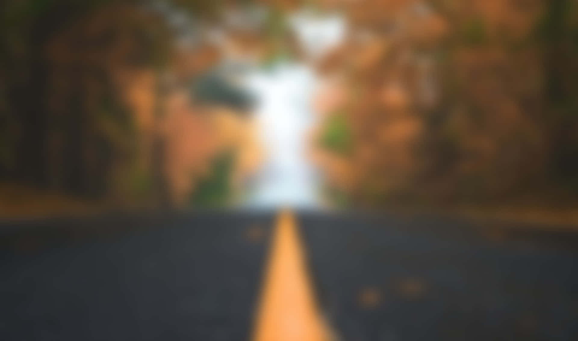 模糊的道路，黃色線條穿過秋日樹木通向明亮光線。