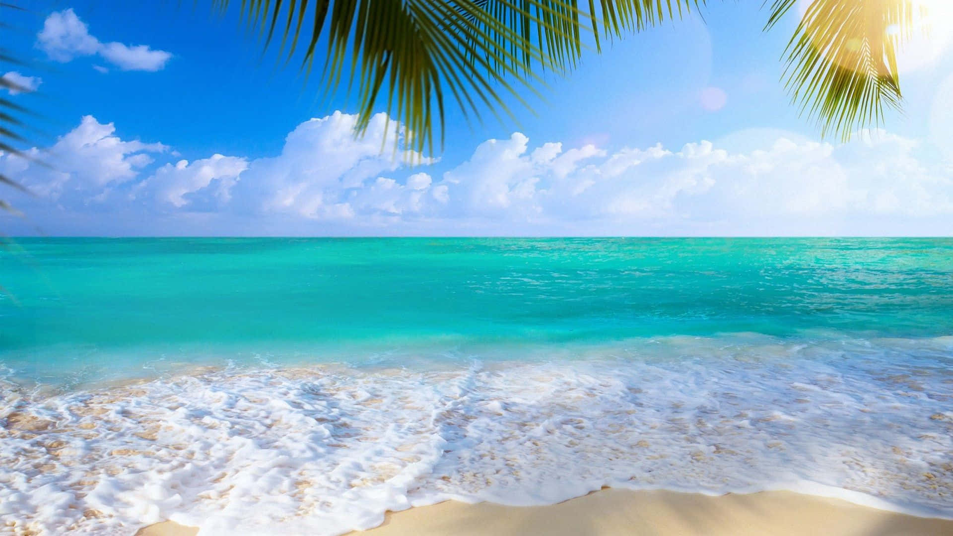 享受光輝燦爛的夏日 壁紙 — 熱帶海灘場景，碧綠的海浪拍打金色沙灘，棕櫚葉框住明亮的藍天。