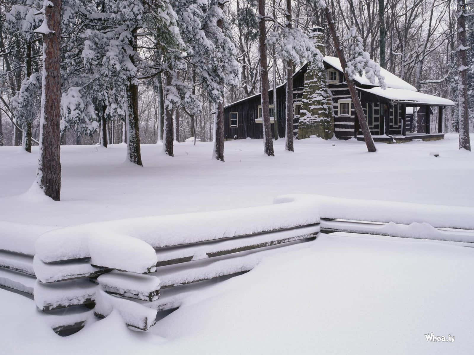 冬季森林中被雪覆蓋的小屋，木柵欄埋在雪中。
