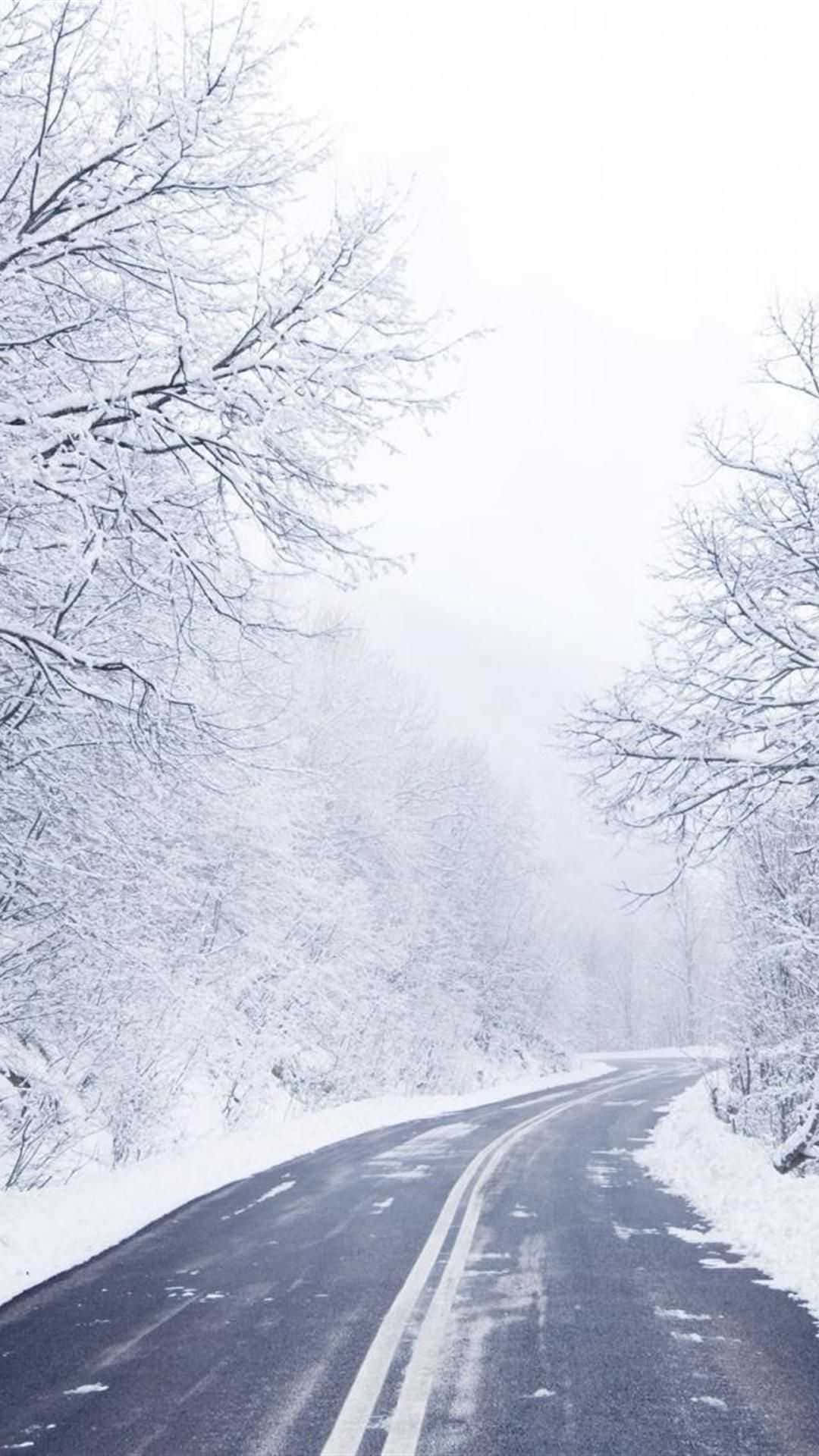享受冬季仙境 壁紙 — 一條蜿蜒的道路穿過白雪覆蓋的森林，光禿禿的樹木在朦朧的冬日天空下披上白霜。