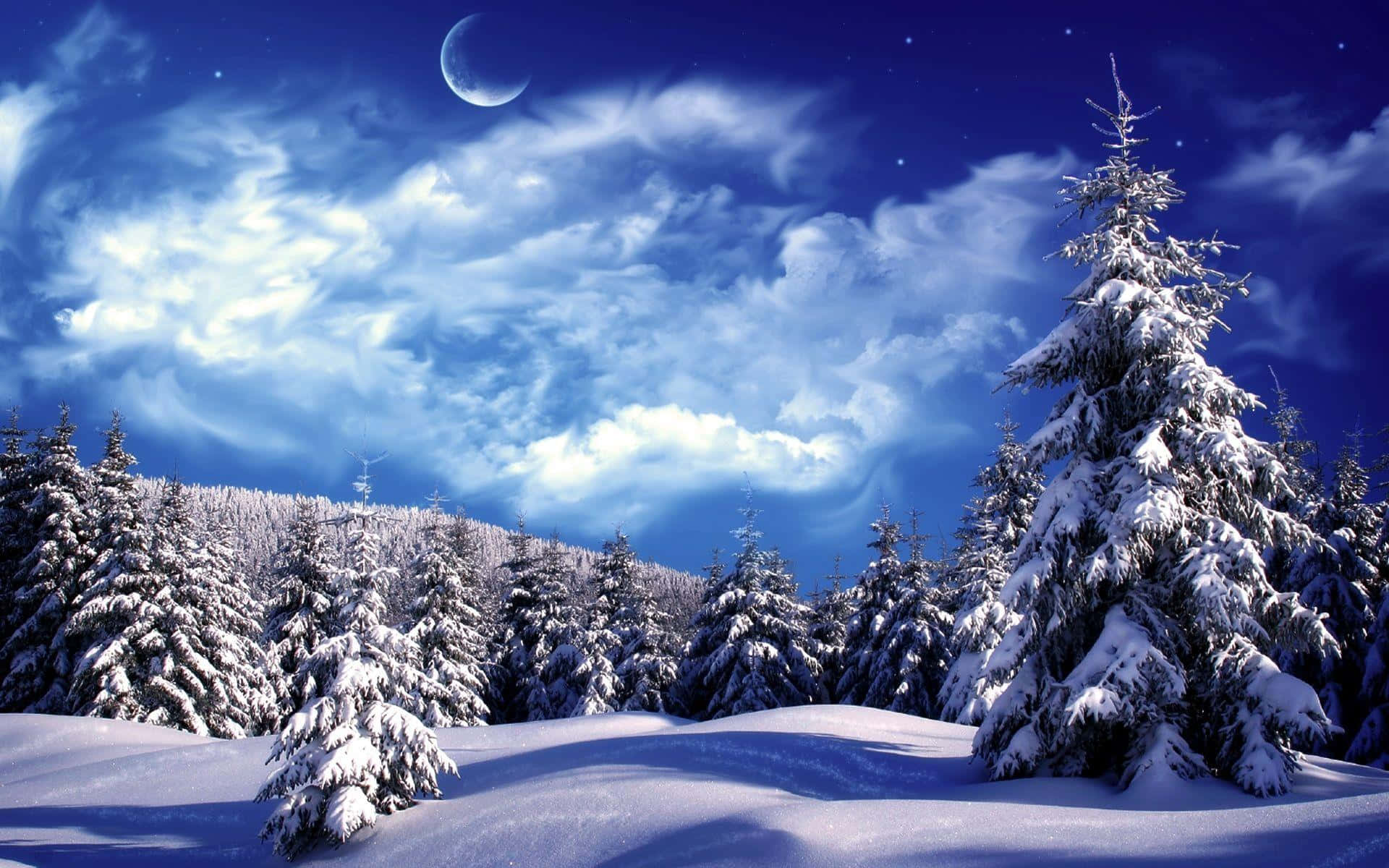 新月和星空下白雪覆蓋的松林。