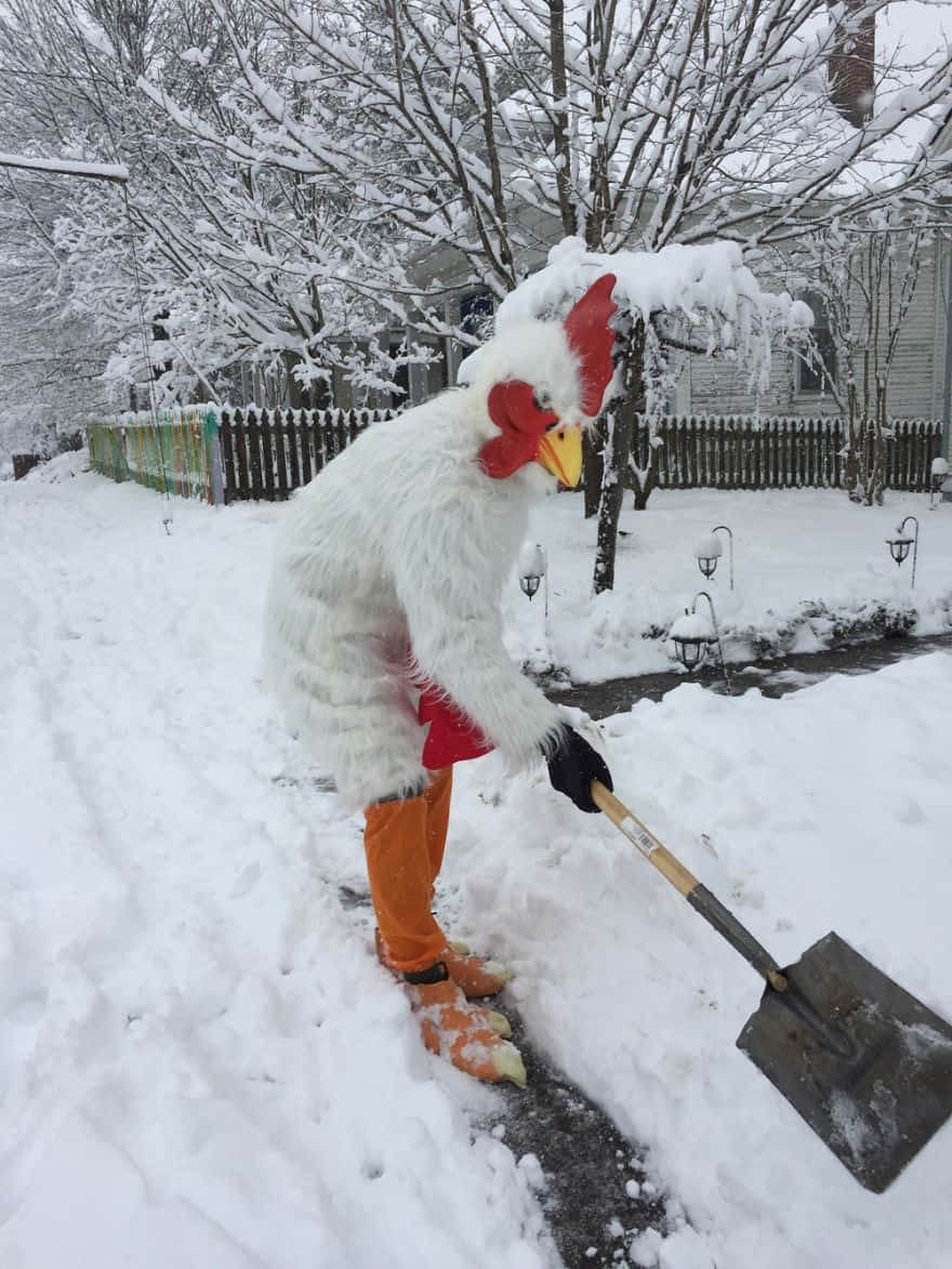 享受冬日暴雪 壁紙 — 一個穿著全套雞服裝的人在雪白的冬日從住宅通道鏟雪。