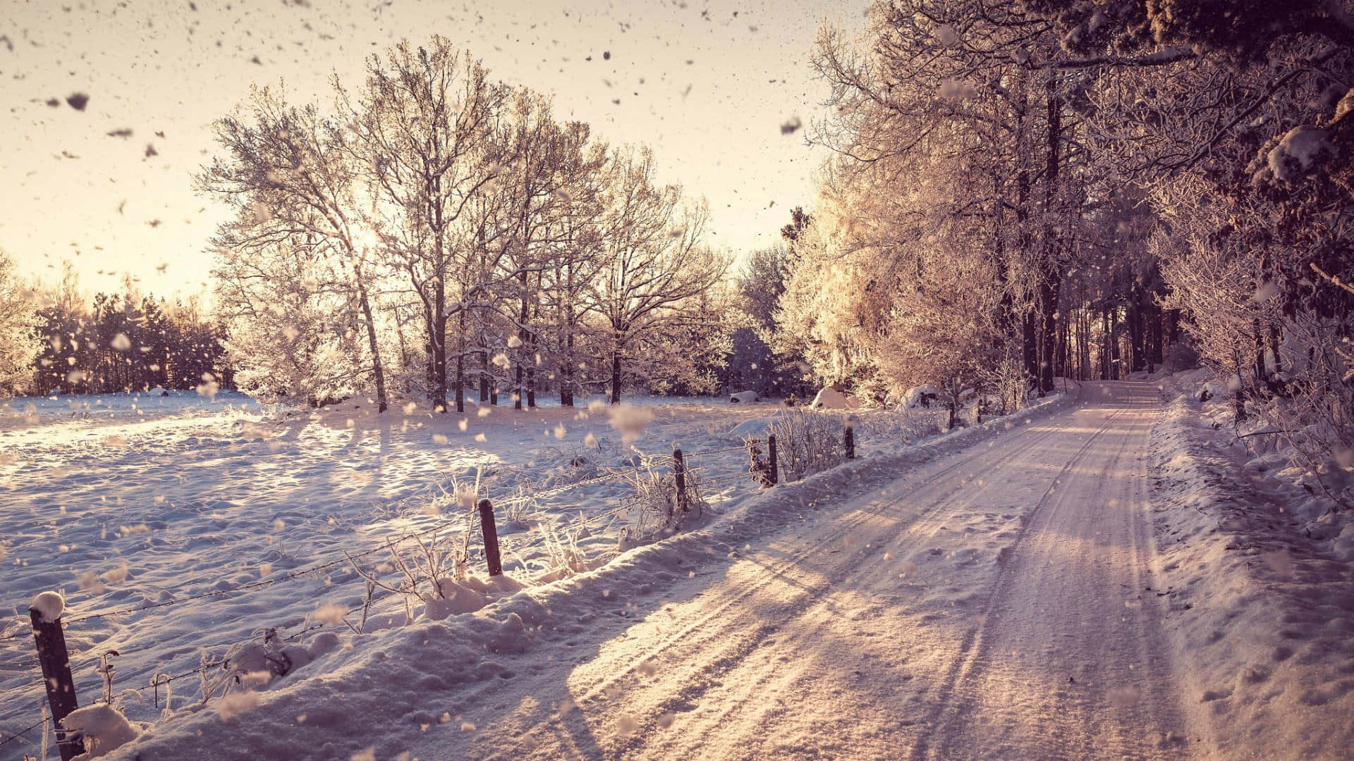 享受冬日的溫暖 壁紙 — 一條積雪的道路蜿蜒穿過霜覆蓋的森林，金色日出伴隨飄落的雪花。