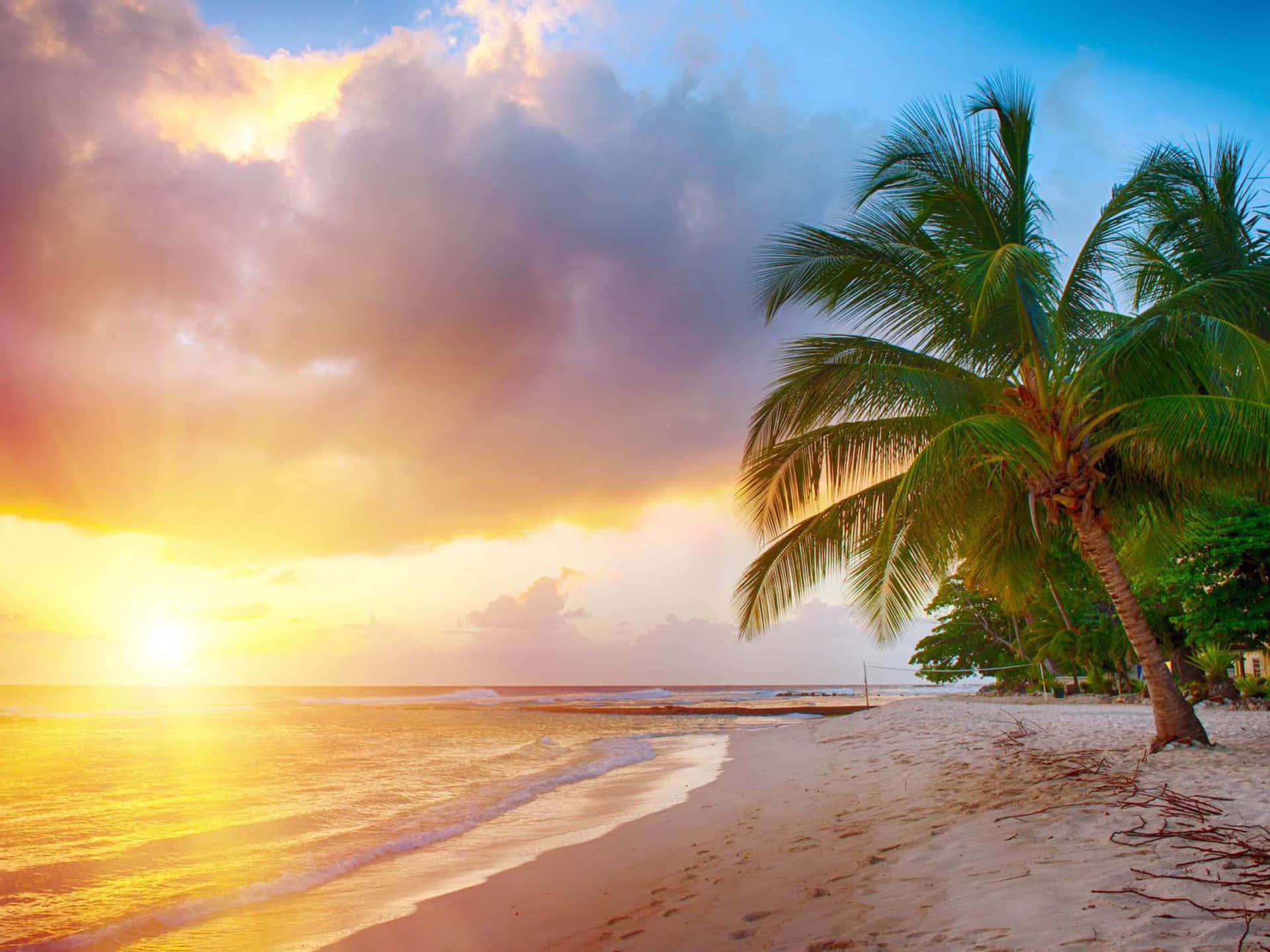 熱帶海灘上的夕陽，有棕櫚樹和溫柔的海浪
