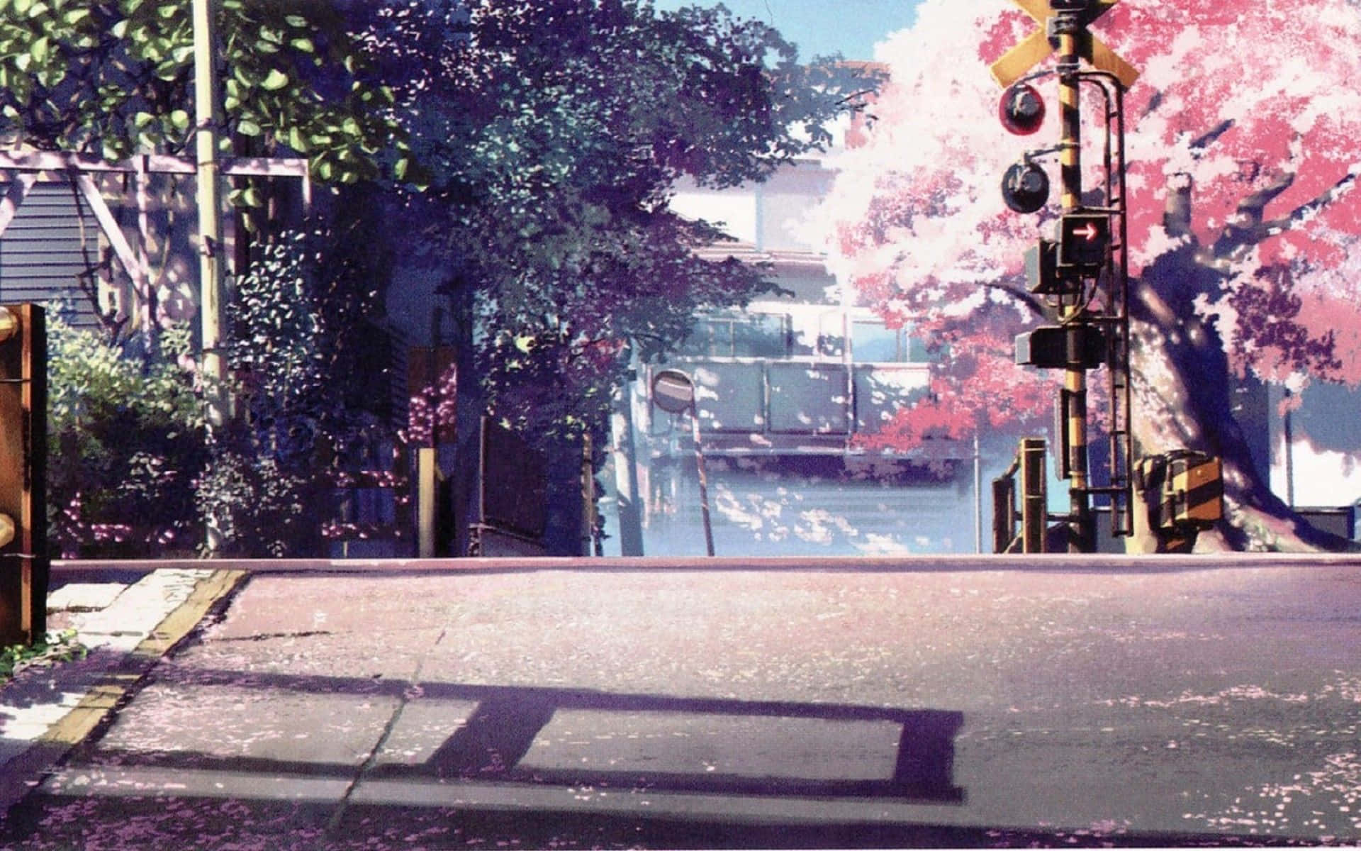 在晴朗的藍天下，櫻花飄過寧靜的街道和鐵路平交道。