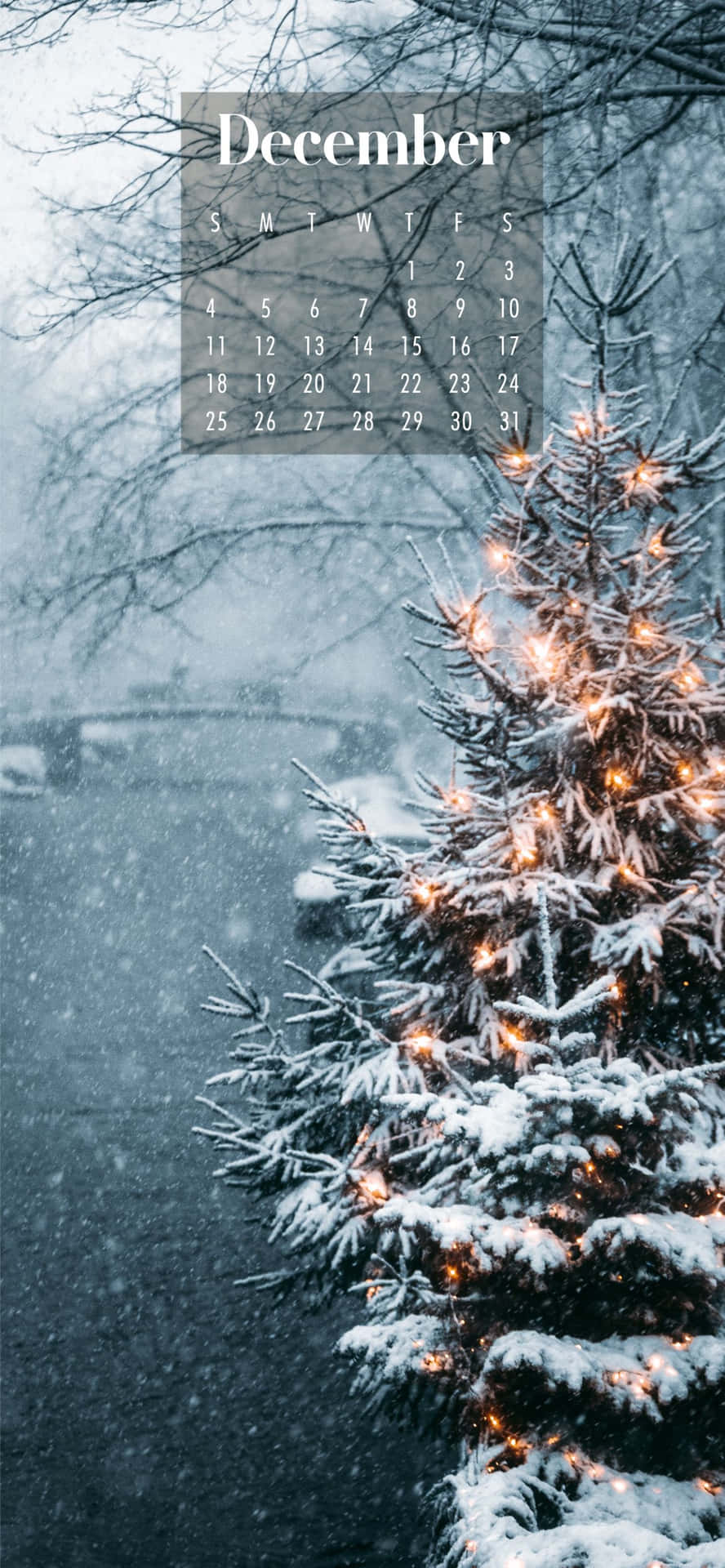 被雪覆蓋的常青樹與燈光和十二月日曆疊加在冬季場景中。