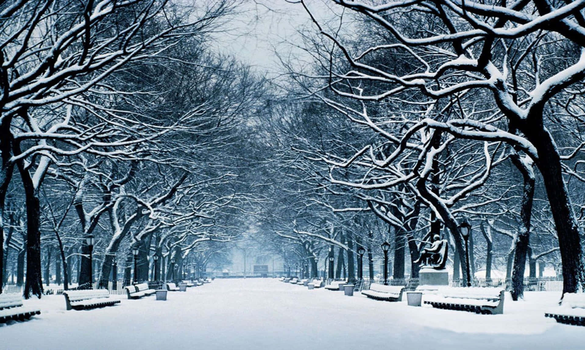 白雪覆蓋的公園小徑，有光禿禿的樹木和長椅，天空灰濛濛。