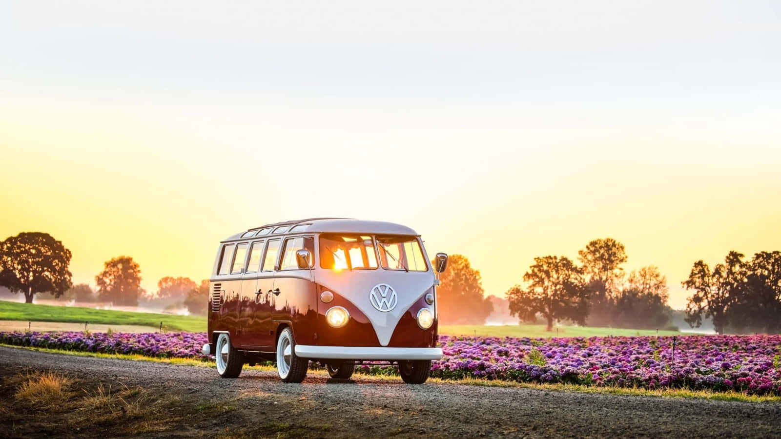 復古VW露營車在金色日出中穿過紫色花田。