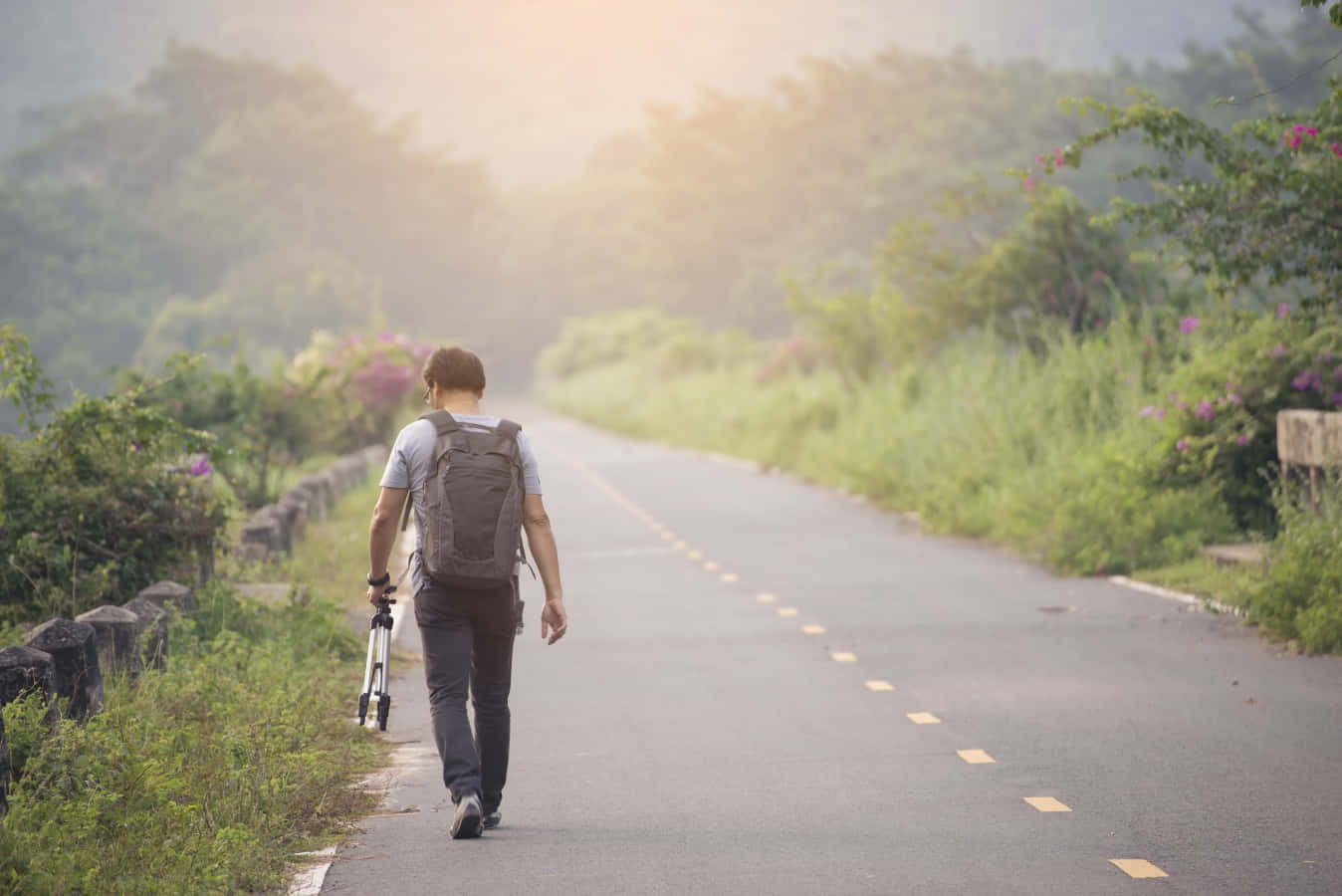 享受夏日音韻：一場悠閒的夏日散步 壁紙 — 一個人背著背包，在朦朧的陽光下，獨自走在綠樹和野花環繞的寧靜鄉村道路上。