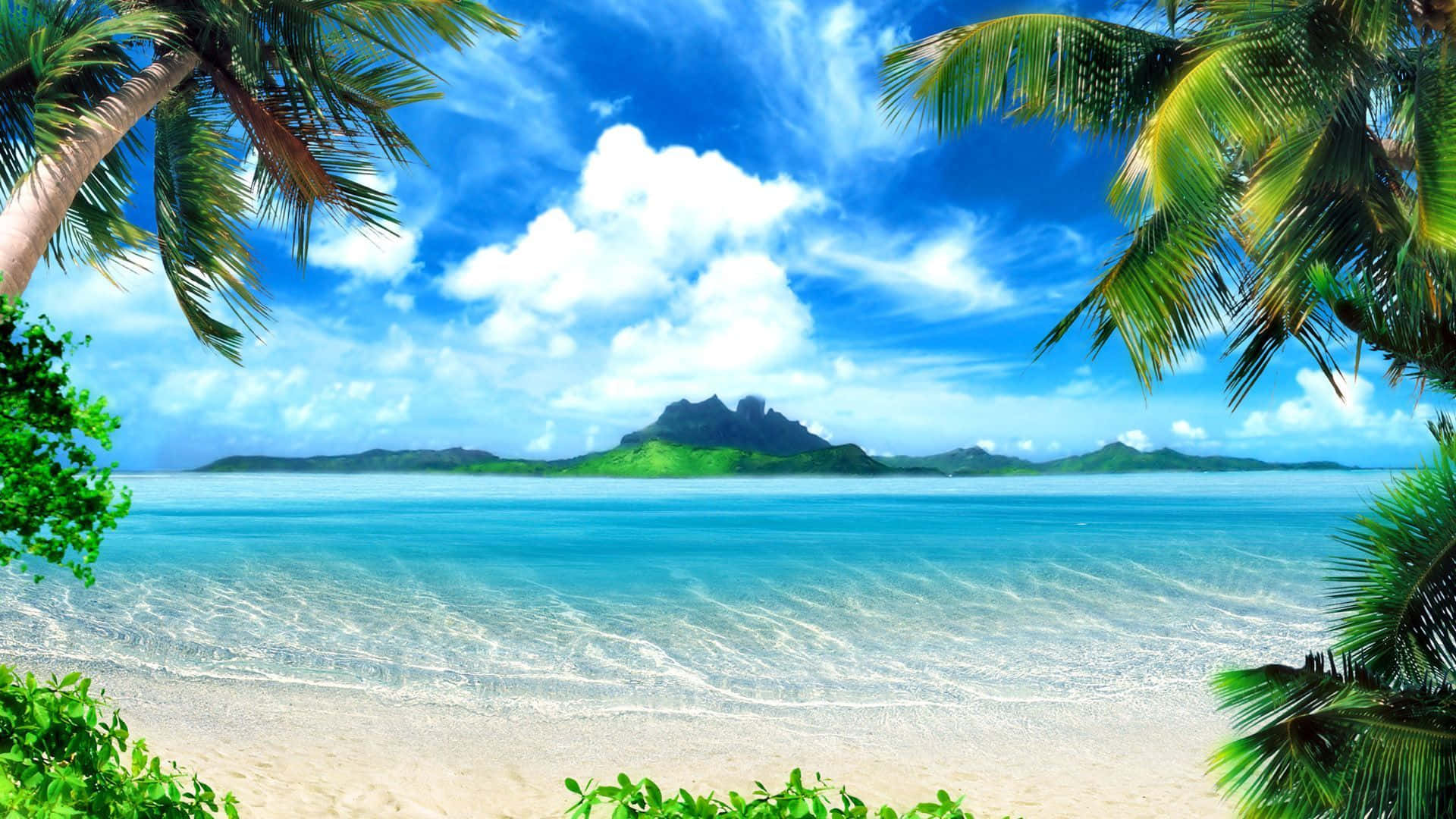 熱帶海灘有棕櫚樹和碧綠海水，在明亮藍天下。