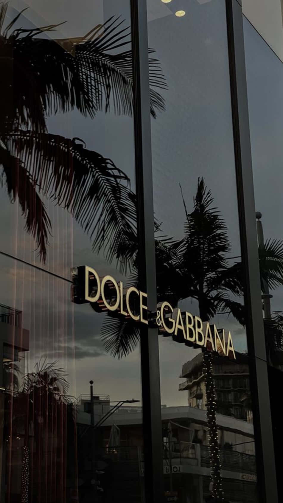 Dolce & Gabbana 商店招牌倒映在玻璃上，伴隨著暮色中的棕櫚樹。