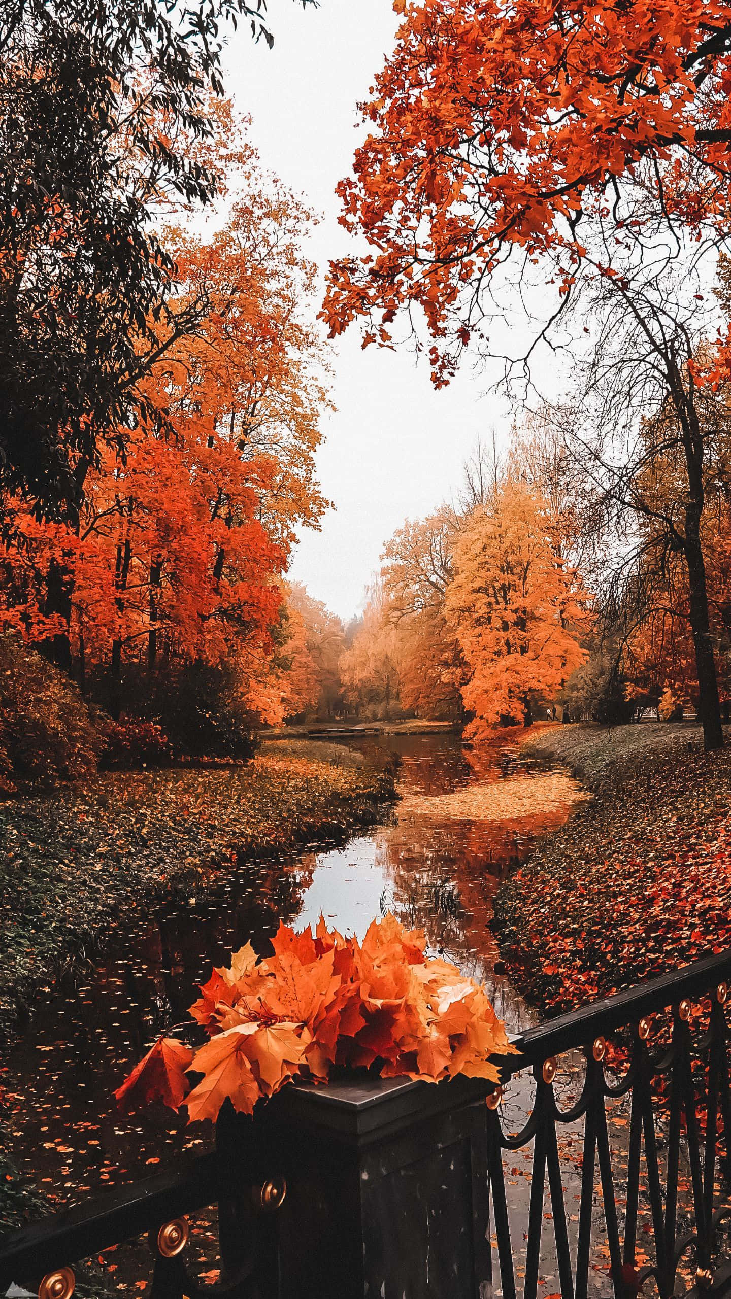 享受完美的秋日 壁紙 — 一條寧靜的秋天小徑，兩旁是火紅的橙樹，落葉在陰天下的平靜溪流中倒映。