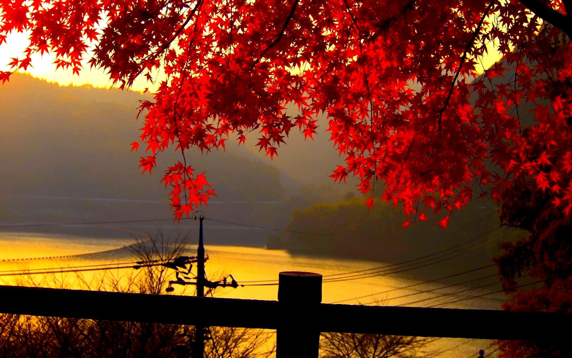 享受完美秋日的寧靜與美景 壁紙 — 鮮紅的楓葉框住了平靜湖面上的金色日落，遠山依稀可見。
