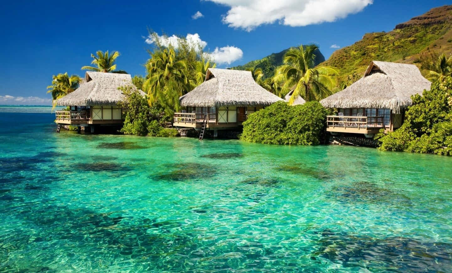 享受寧靜島嶼天堂的美景 壁紙 — 茅草屋頂的水上平房漂浮在清澈碧綠的海水上，周圍環繞著茂密的棕櫚樹和翠綠的山丘，上方是明亮的藍天。