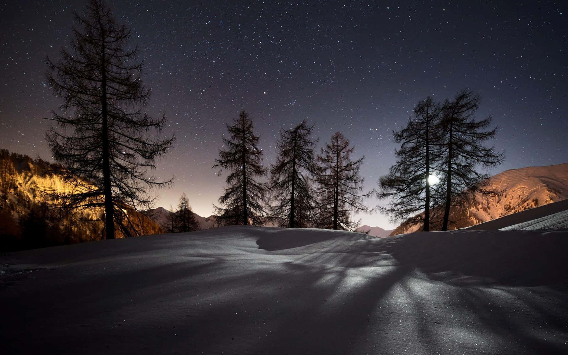 夜晚被雪覆蓋的山脊，樹木和星星