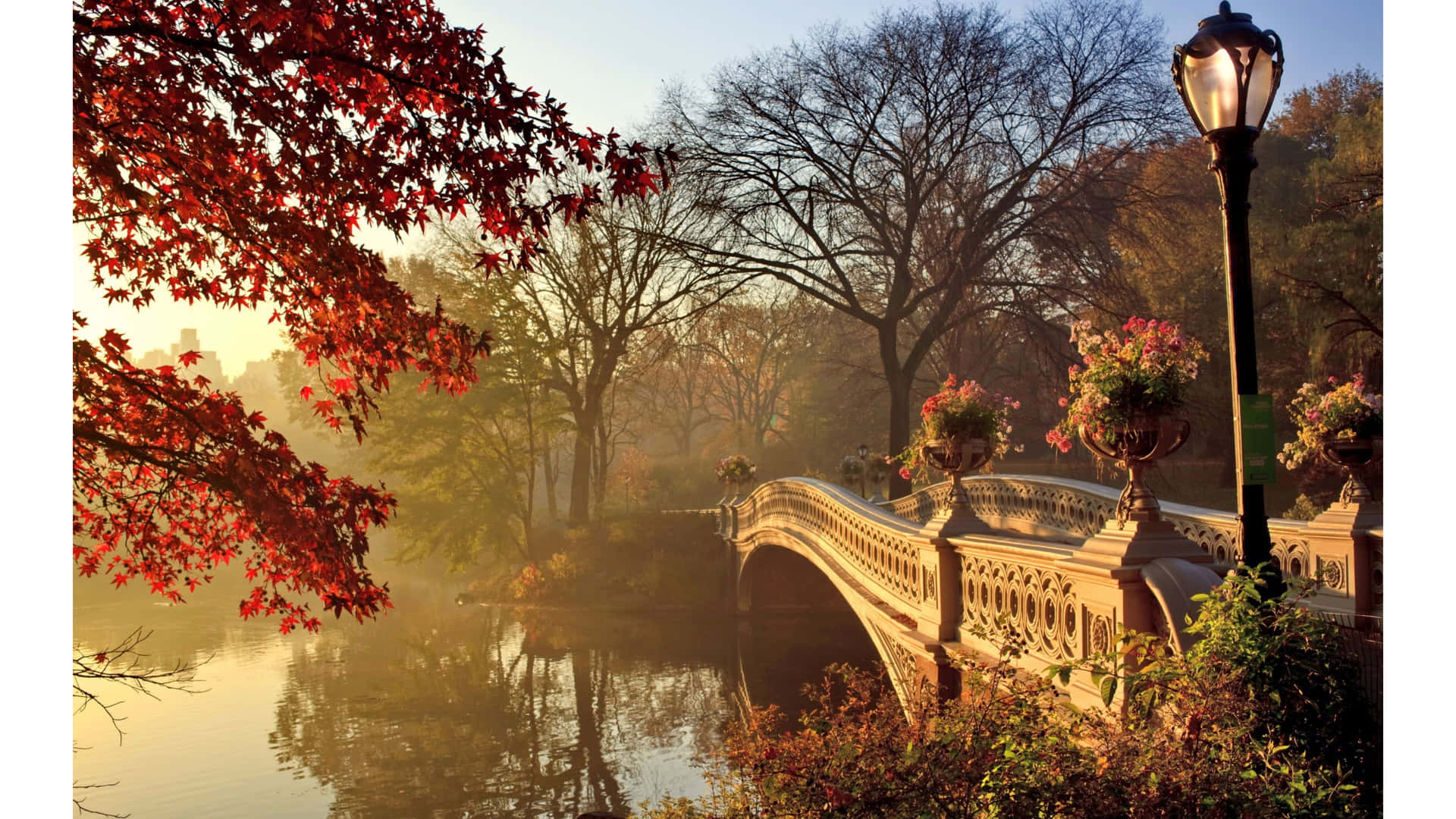 秋天公園中水面上的石橋，有紅葉同發光嘅燈。