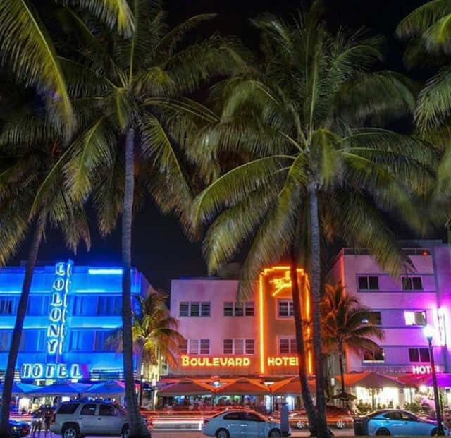 霓虹酒店和棕櫚樹照亮了熱鬧的邁阿密海灘夜景。