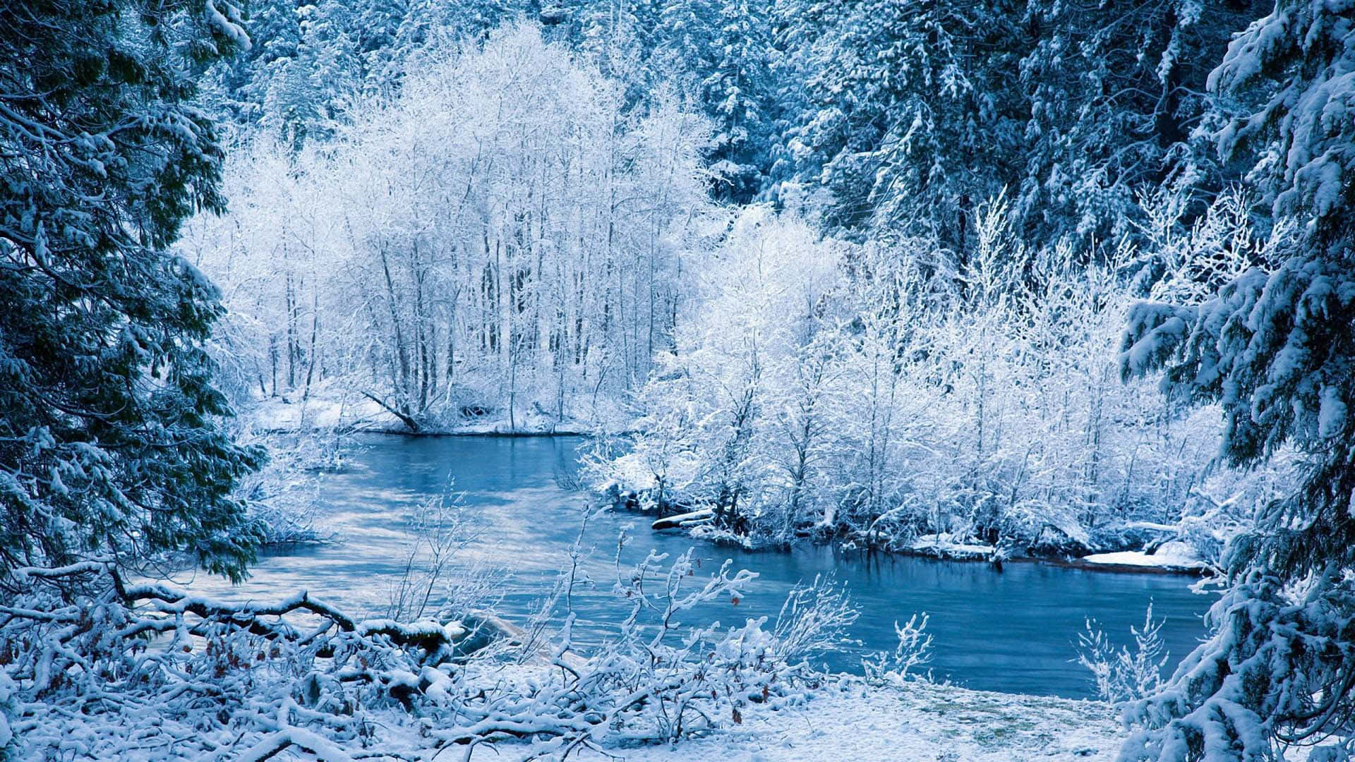 享受最佳冬季的美麗 壁紙 — 一條寧靜的冬日河流蜿蜒穿過白雪覆蓋的樹木，在清涼的藍天下。