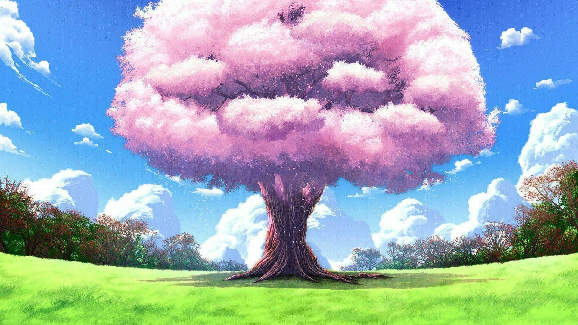 藍天白雲下，綠色田野中的一棵大粉紅色櫻花樹。