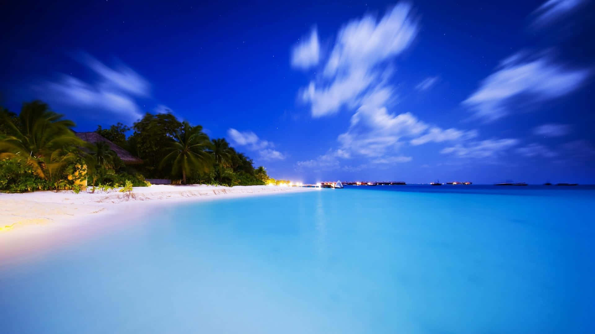 夜晚的熱帶海灘，藍色海水、棕櫚樹和星空。
