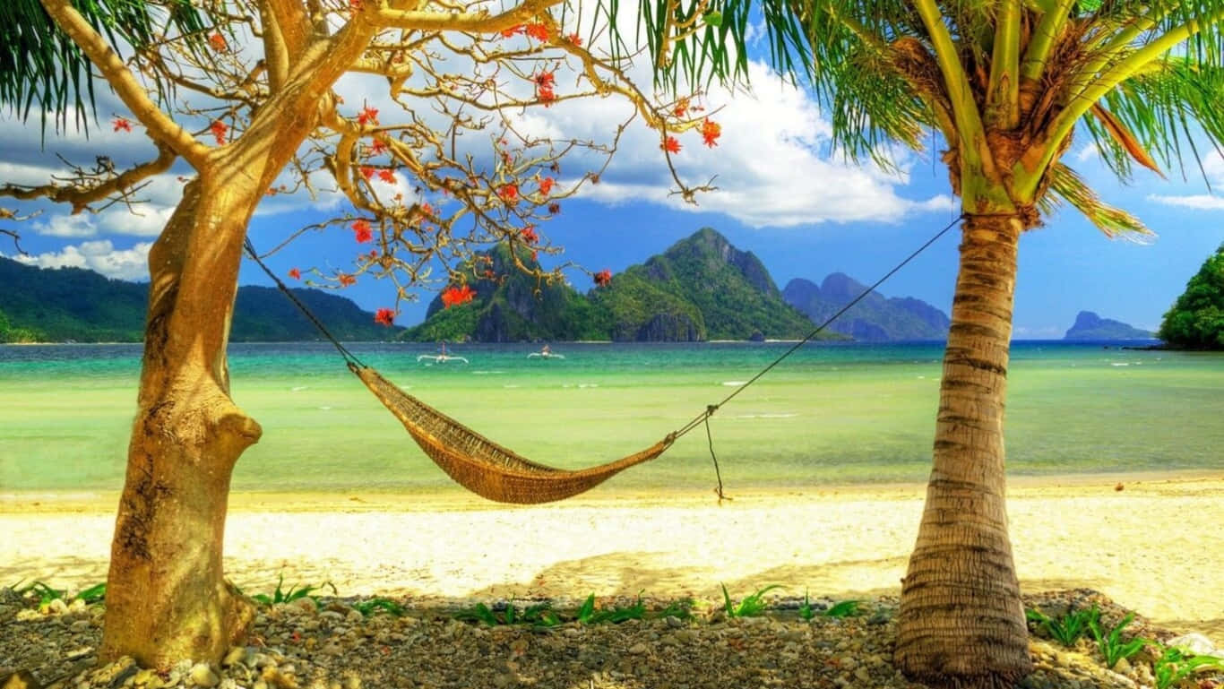 熱帶海灘上樹木之間的吊床，背景有山脈和海洋。