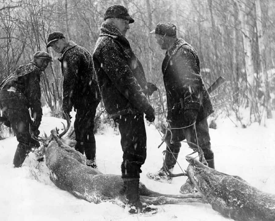四個穿著冬季裝備的獵人站在雪森林中，圍著兩隻鹿。