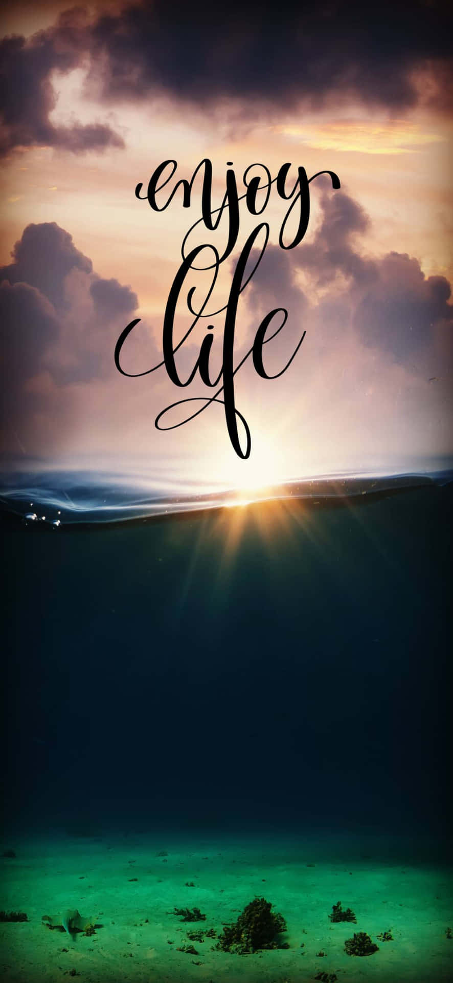 海洋上的日落，下方有珊瑚礁和 'enjoy life' 文字。