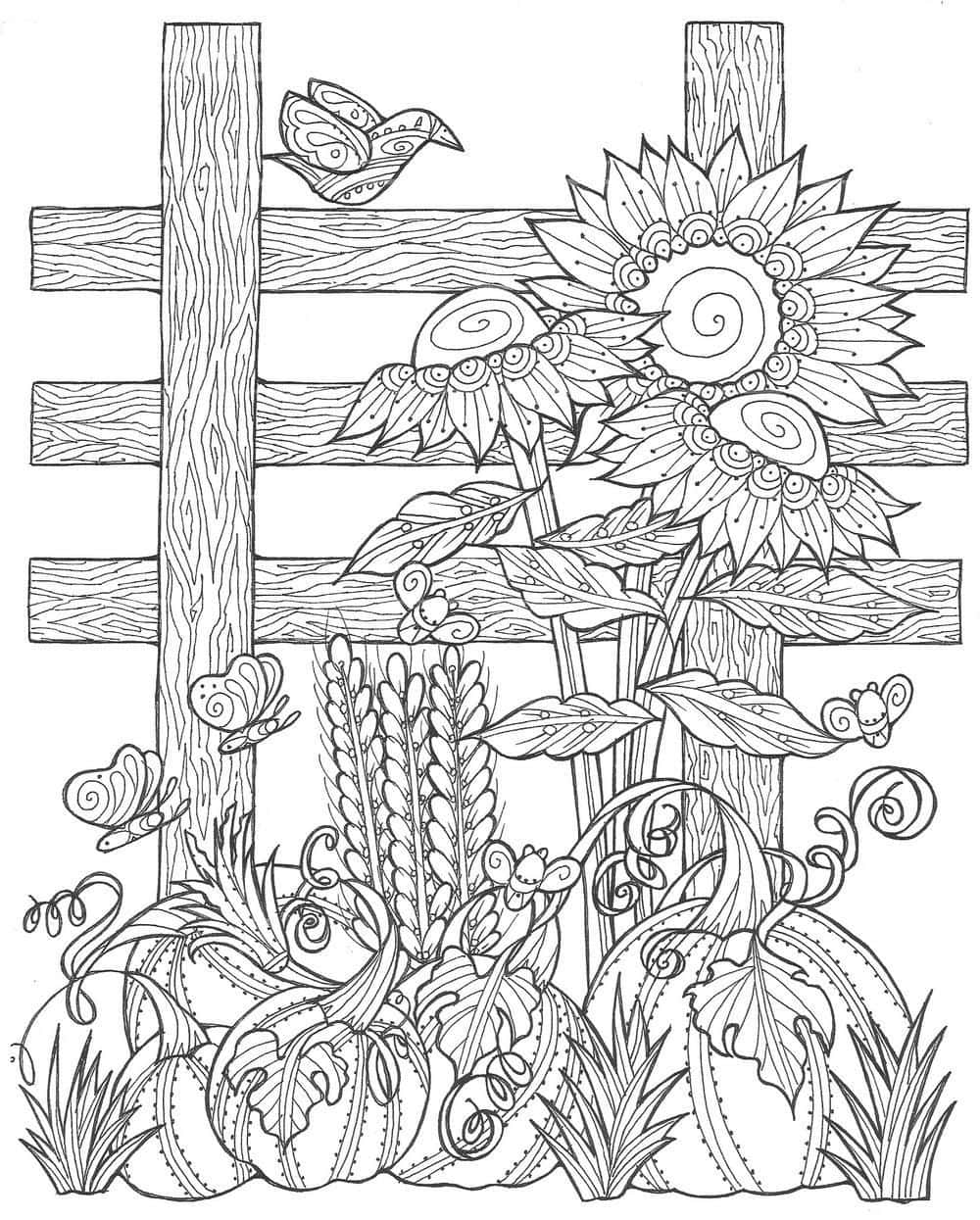 享受秋日午後的著色時光 壁紙 — 一幅詳細的黑白線條畫，描繪了向日葵、南瓜和蝴蝶，背景是花園中的木柵欄。