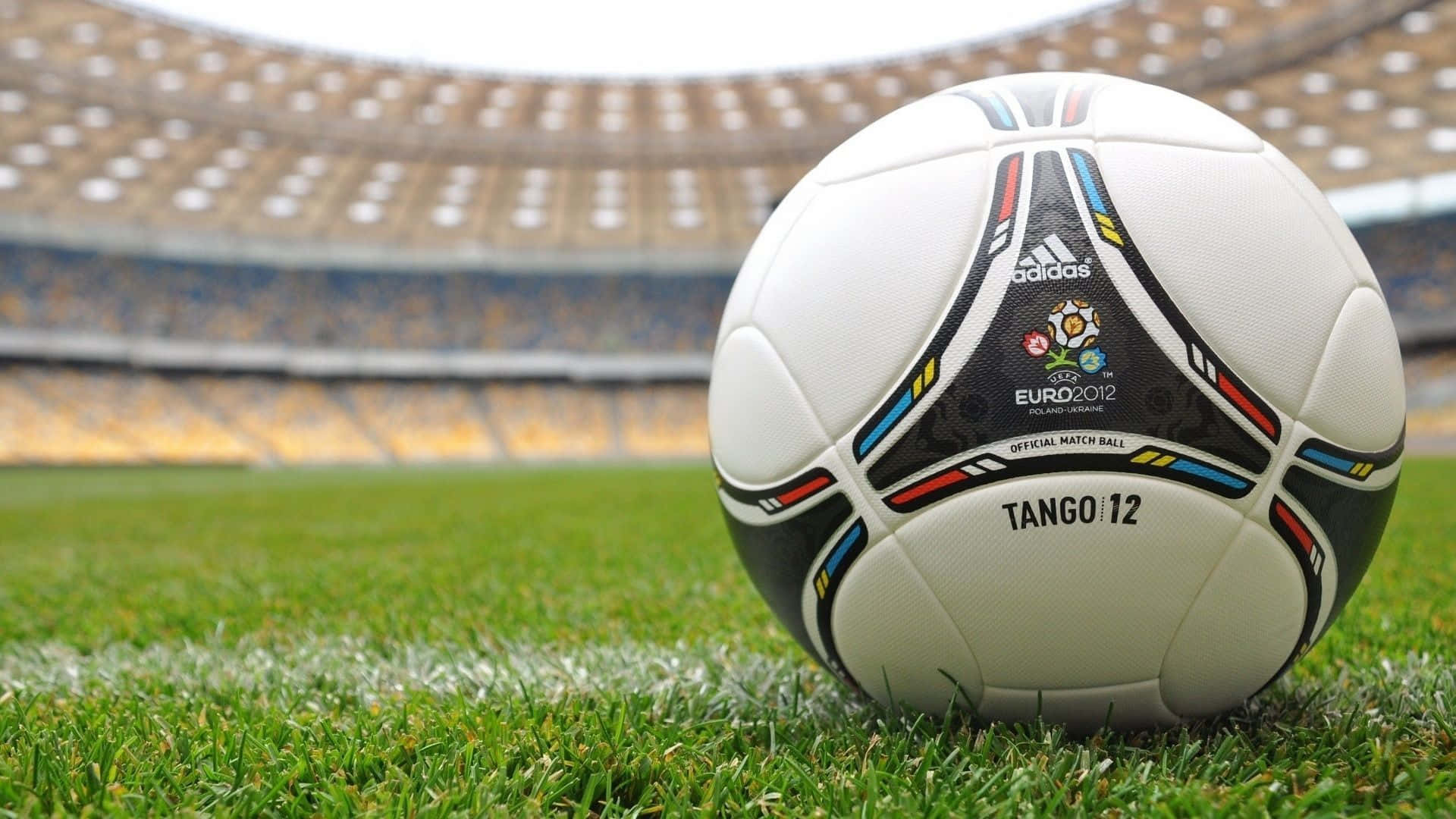 體育館草地上嘅官方 Euro 2012 足球