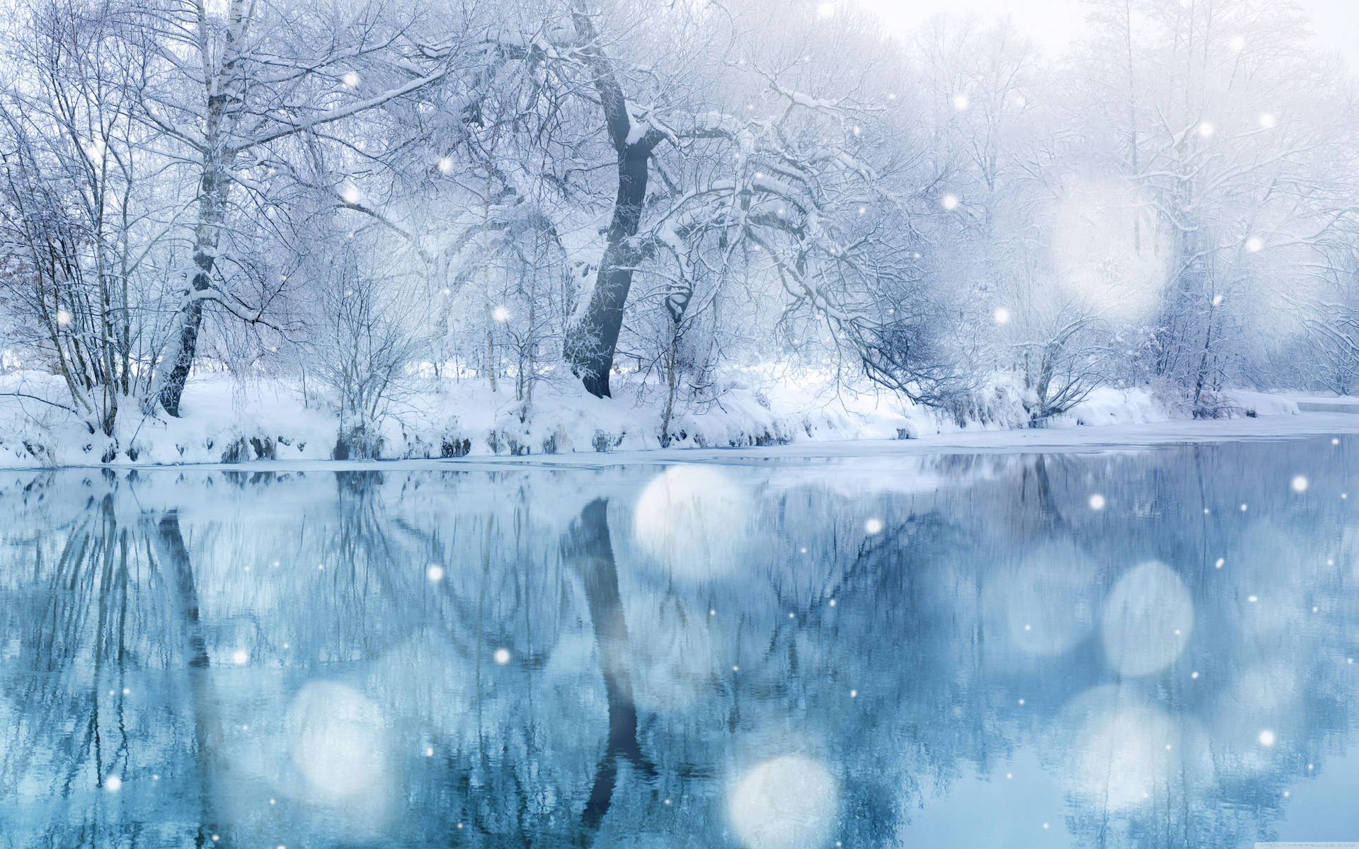 白雪覆蓋的樹木倒映在平靜的冬日河流中，雪花飄落。