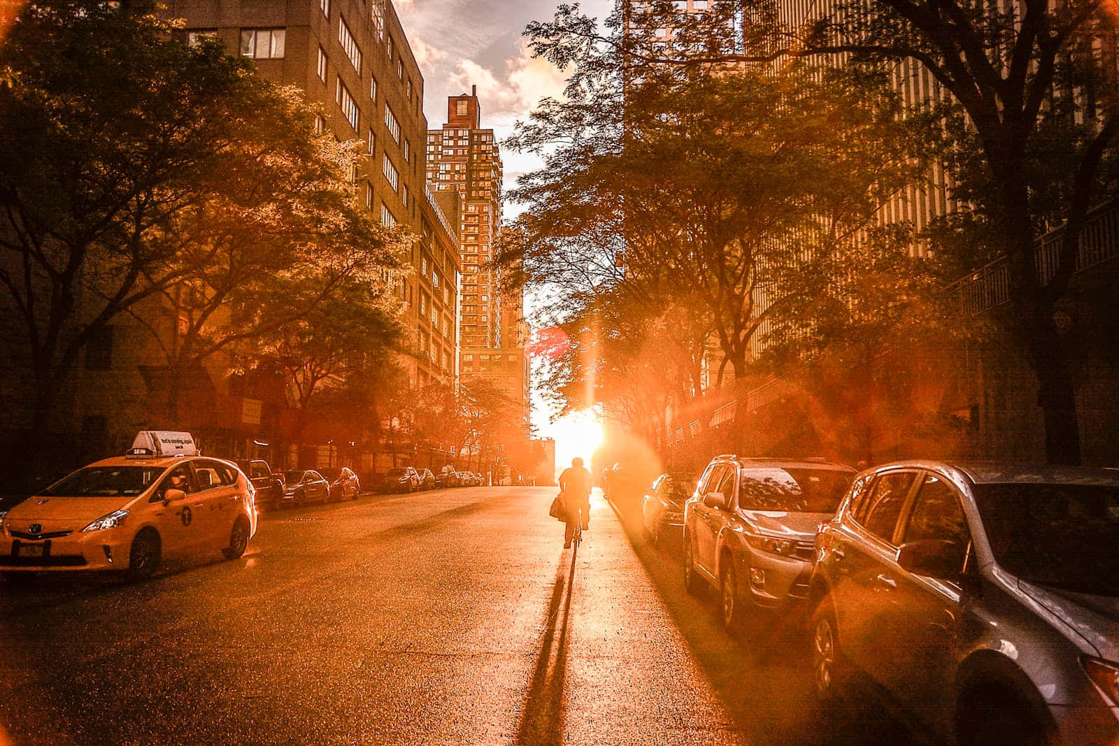 一位騎單車者在沐浴著金色夕陽的城市街道上騎行。