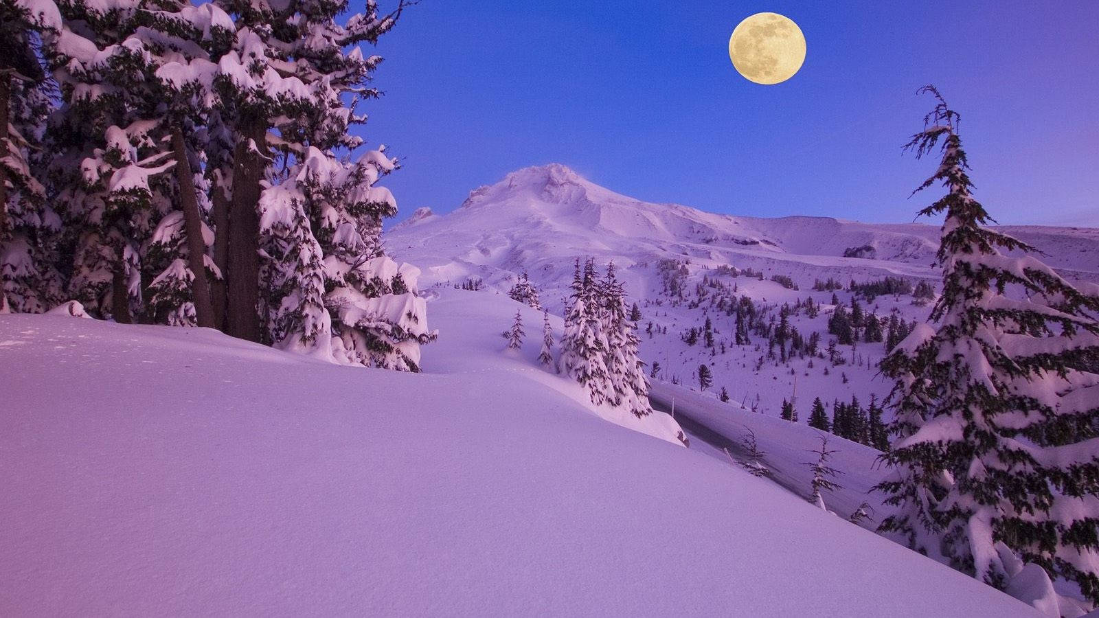滿月下暮色中的雪山山谷，點綴著松樹。