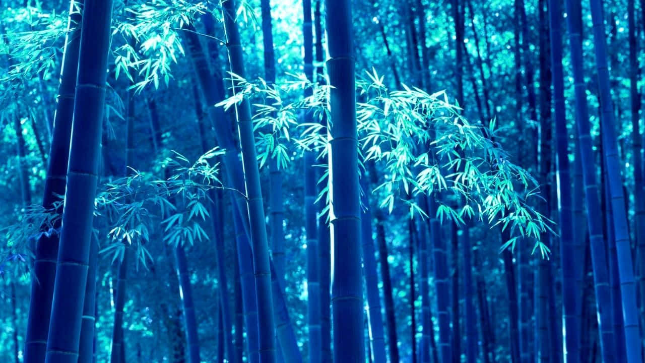 寧靜藍色森林中的高大竹莖與斑駁光線。