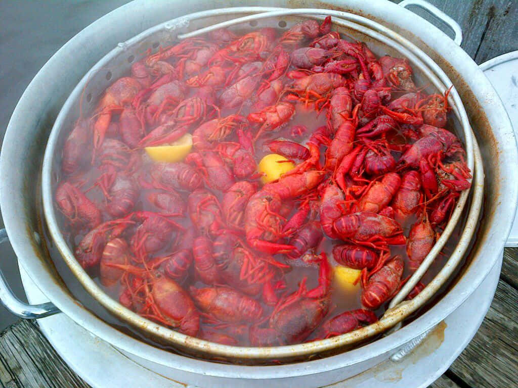 享受路易斯安那 crawfish！ 壁紙 — 一個冒著蒸氣的鍋，裝滿了鮮紅色的煮小龍蝦和檸檬角，放在木質甲板上。