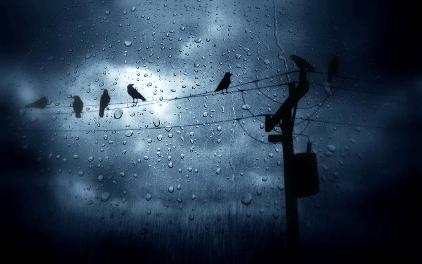 享受輕柔夏雨的寧靜之美 壁紙